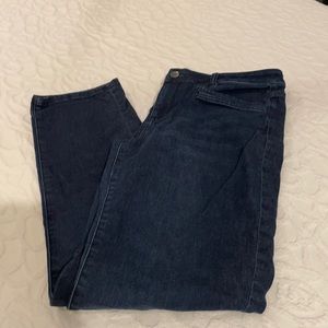 J.Jill Slim Boyfriend Straight Leg Jeans